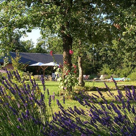 La Villa Des Pins Verrieres  Exteriér fotografie