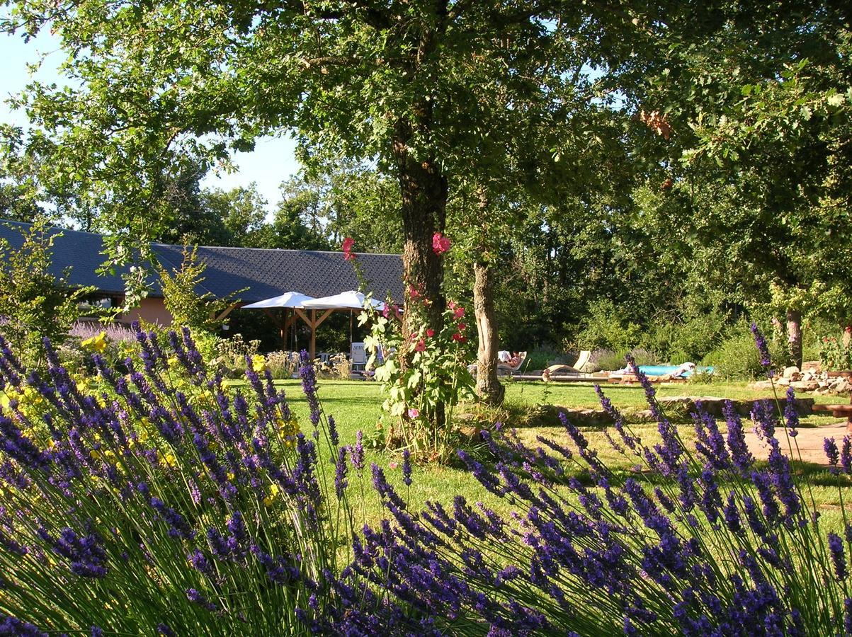 La Villa Des Pins Verrieres  Exteriér fotografie