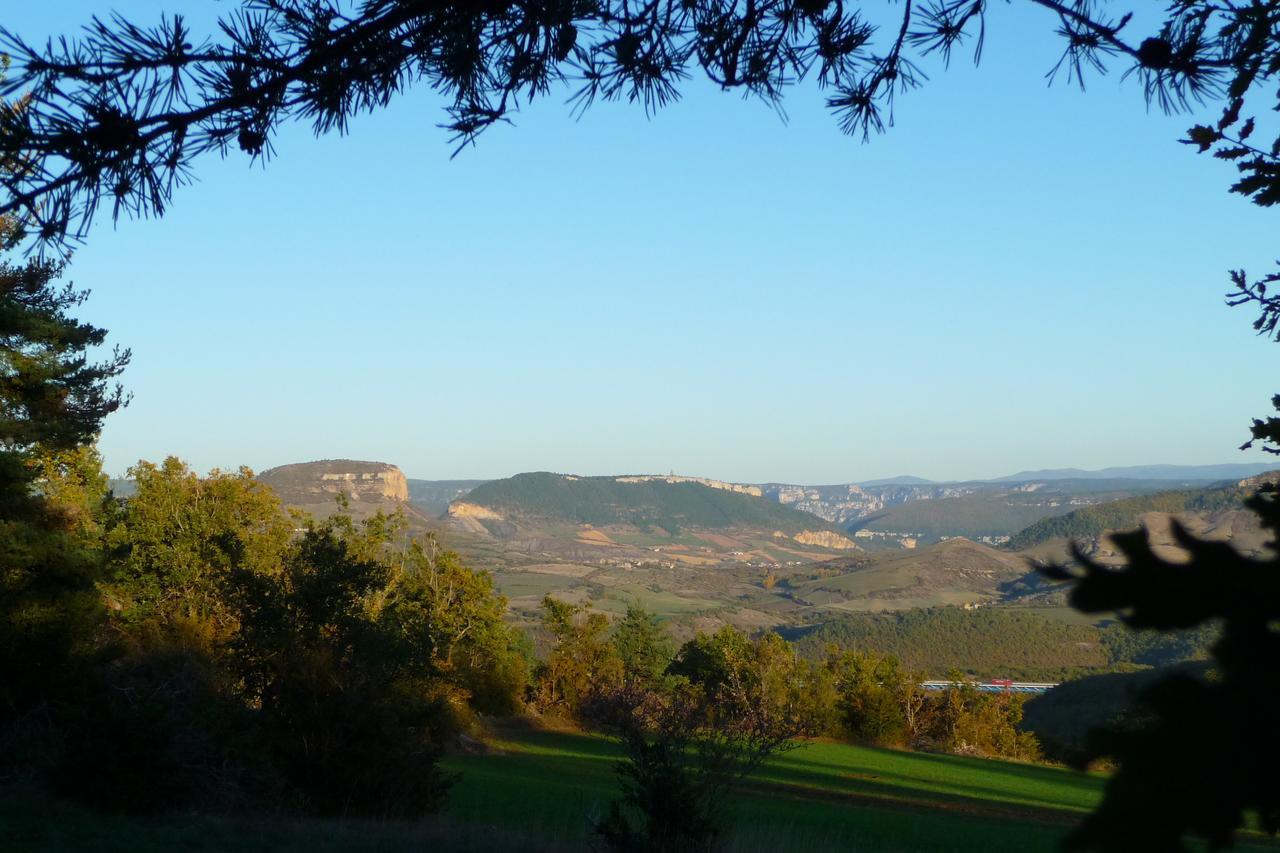 La Villa Des Pins Verrieres  Exteriér fotografie